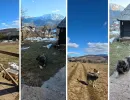 djeca sa teskocama u razvoju mali porodicni dom za djecu bez roditeljskog staranja fondacija second