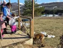djeca sa teskocama u razvoju mali porodicni dom za djecu bez roditeljskog staranja fondacija second
