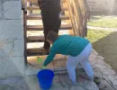 three days inclusion ledici special needs foundation second