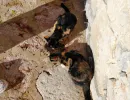 volunteers with special souls