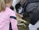 dom za djecu bez roditeljskog staranja tuzla mali porodicni dom ledici fondacija second  